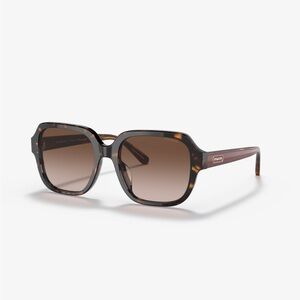 Coach sunglasses